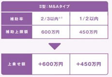 Ⅱ型：M&Aタイプ